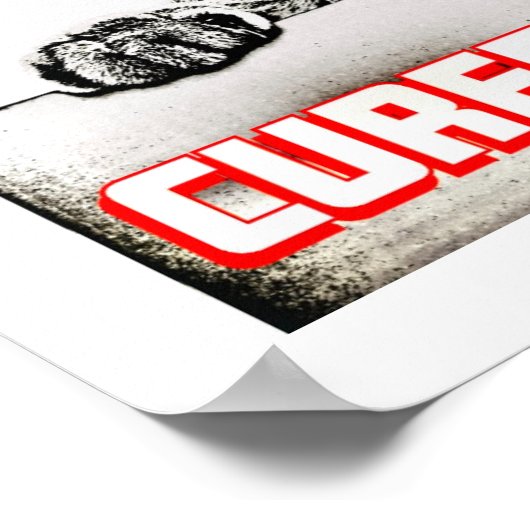 Nieuwsgierigheid geneest de kat poster (Hoek)