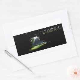 "Nieuwsgierigheid" Inspirerend quote Rechthoekige Sticker