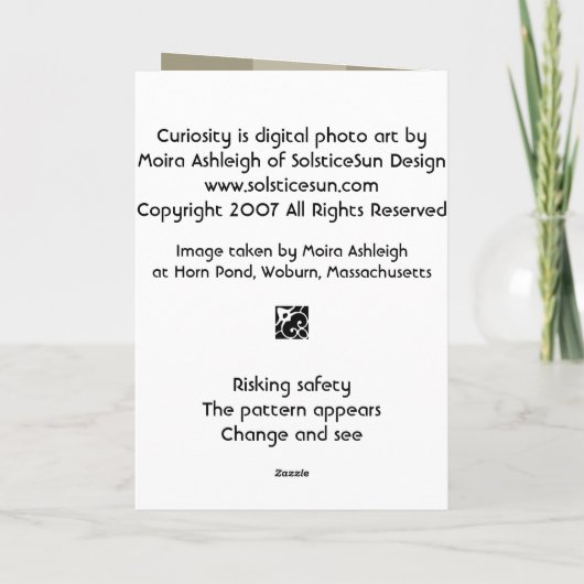 Nieuwsgierigheid Kaart (Achterkant)