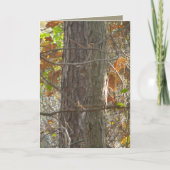 Nieuwsgierigheid Kaart (Voorkant)