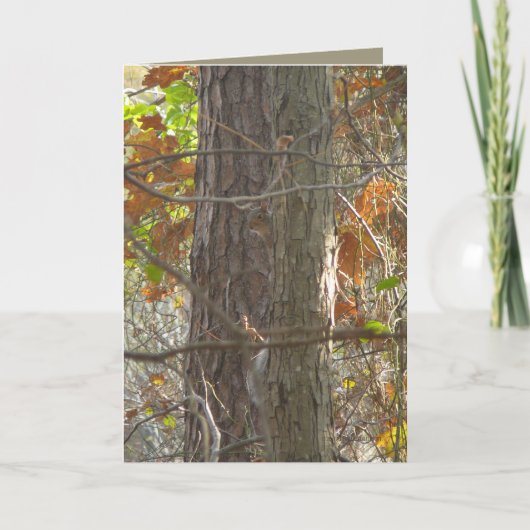 Nieuwsgierigheid Kaart (Voorkant)