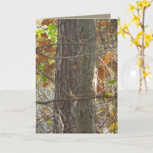 Nieuwsgierigheid Kaart (Gele Bloem)