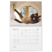 nieuwsgierigheid kalender (Feb 2027)