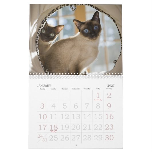 nieuwsgierigheid kalender (Jan 2027)