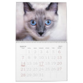 nieuwsgierigheid kalender (Mar 2027)