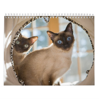 nieuwsgierigheid kalender