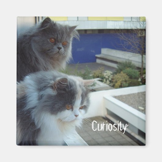 nieuwsgierigheid magneet (Voorkant)