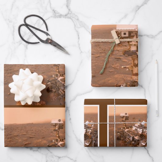 Nieuwsgierigheid Rover Mars Dusty Selfie op Mount  Inpakpapier Vel (Voorkant)
