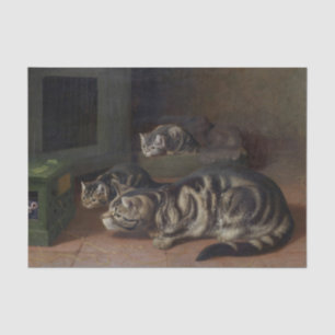 Nieuwsgierigheid van Horatio Henry Couldery Tissuepapier