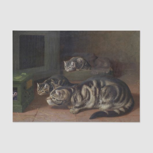 Nieuwsgierigheid van Horatio Henry Couldery Tissuepapier (Voorkant)