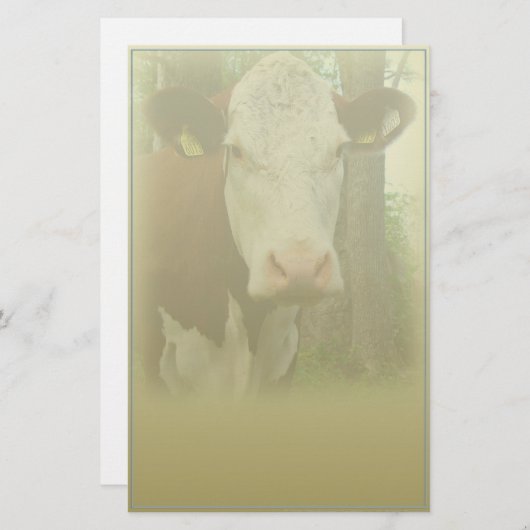 Nieuwsgierij Briefpapier (Voorkant / Achterkant)