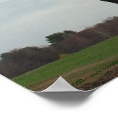 Nieuwste Koeien 2 Poster (Hoek)