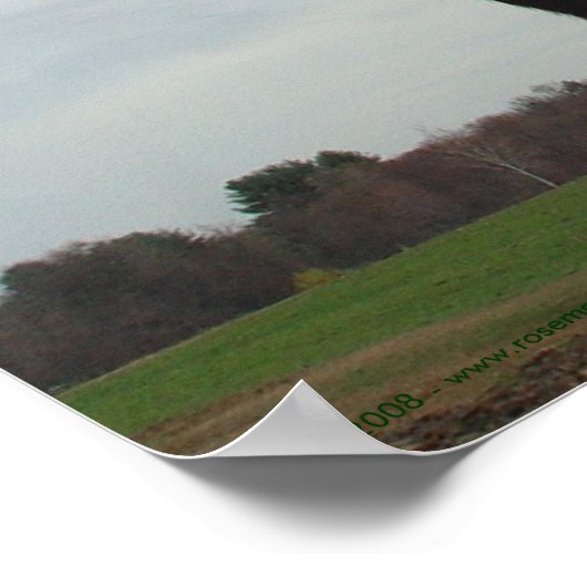 Nieuwste Koeien 2 Poster (Hoek)