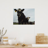 Nieuwste Koeien 2 Poster (Keuken)
