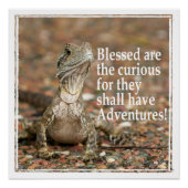 Nieuwste prijsopgave perfect poster (Voorkant)