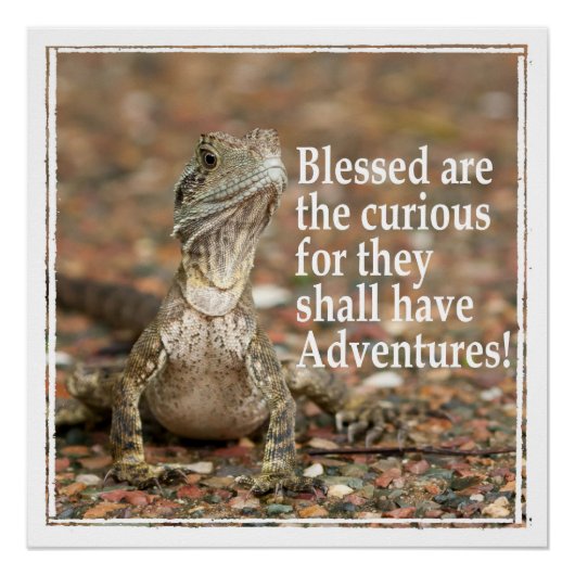 Nieuwste prijsopgave perfect poster (Voorkant)