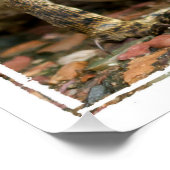 Nieuwste prijsopgave perfect poster (Hoek)