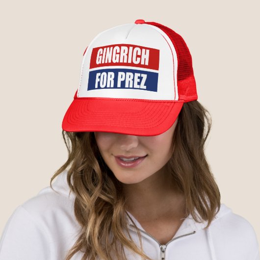 NIEUWT GINGRICH CAMPAIGN GEAR TRUCKER PET (In situ)