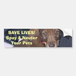 Nigel zegt:  BESPAAR LEVEN! Spay en NeuterUw huisd Bumpersticker