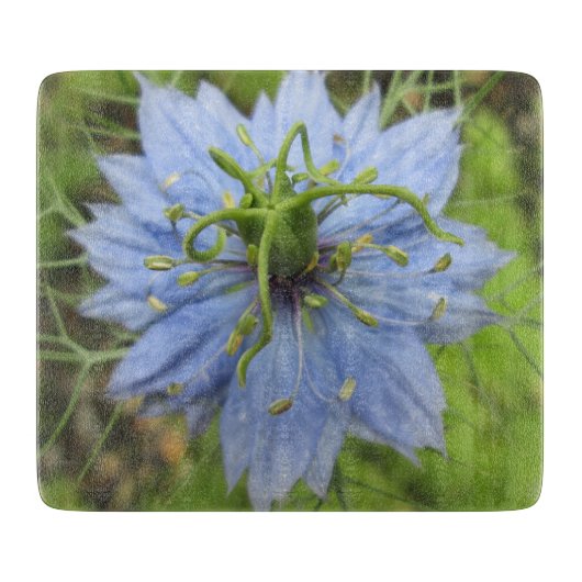 Nigella Blue Green Blooming Flower Snijplank (Voorkant)