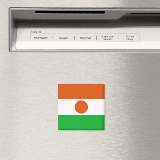 Niger Flag Magneet (Insitu (Vaatwasser))
