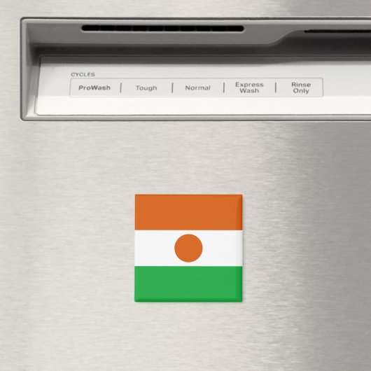 Niger Flag Magnet (Insitu (Vaatwasser))