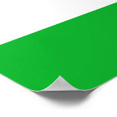 Niger Flag Poster (Hoek)