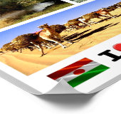 Niger - Golfvlag - Poster (Hoek)