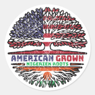 Niger Nigerien American USA Tree Roots Flag Ronde Sticker
