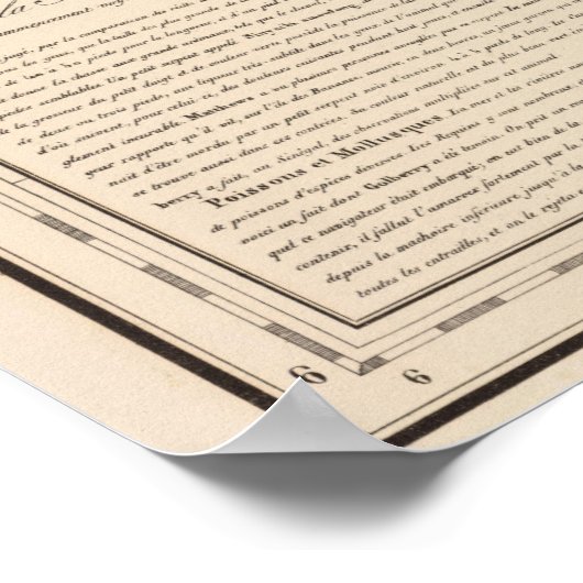 Nigeria, Kameroen Poster (Hoek)