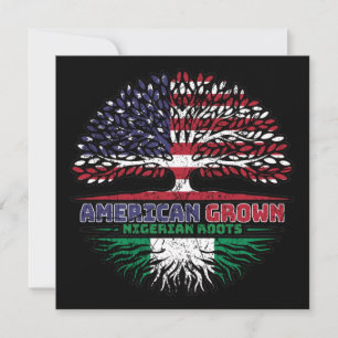 Nigeria Nigeriaans Amerikaan Amerika VS Verenigde Kaart