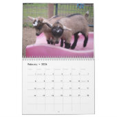 nigeriaanse dwerggeit 2014 kalender (Feb 2026)