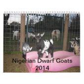 nigeriaanse dwerggeit 2014 kalender (Hoes)