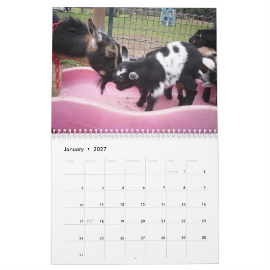 nigeriaanse dwerggeit 2014 kalender (Jan 2027)