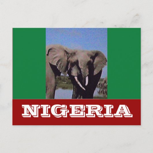 Nigeriaanse vlag briefkaart (Voorkant)