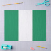 Nigeriaanse vlag tissuepapier (Craft)