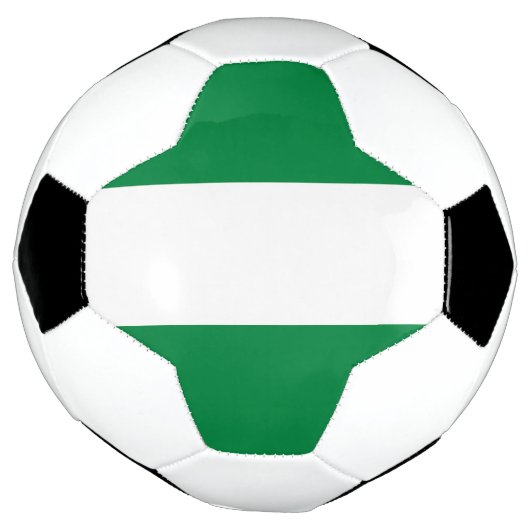 Nigeriaanse vlag voetbal (Gedraaid)