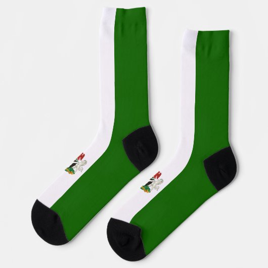 Nigeriaanse wapenschild sokken (Links)