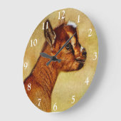 Nigerian Dwarf Dairy Goat Kind Grote Klok (Hoek)