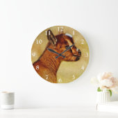 Nigerian Dwarf Dairy Goat Kind Grote Klok (Huis)