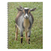 Nigerian Dwarf Dairy Goat Kind Notitieboek (Voorkant)