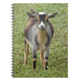Nigerian Dwarf Dairy Goat Kind Notitieboek