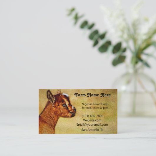 Nigerian Dwarf Dairy Goat Kind Visitekaartje (Staand voorkant)