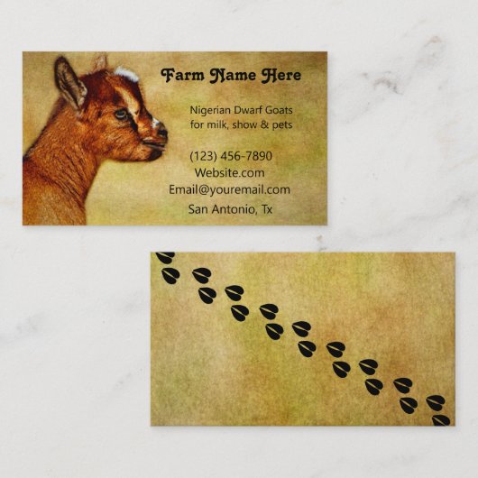 Nigerian Dwarf Dairy Goat Kind Visitekaartje (Voorkant / Achterkant)