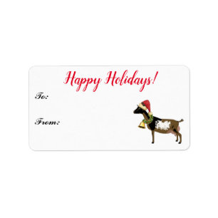 Nigerian Dwarf Dairy Goat met kerstcadeau Label