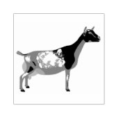 Nigerian Dwarf Dairy Goat Rubberstempel (Afrduk)