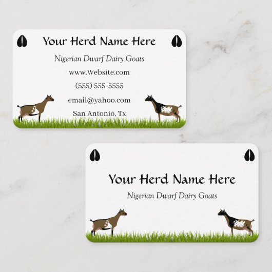 Nigerian Dwarf Dairy Goat Visitekaartje (Voorkant / Achterkant)