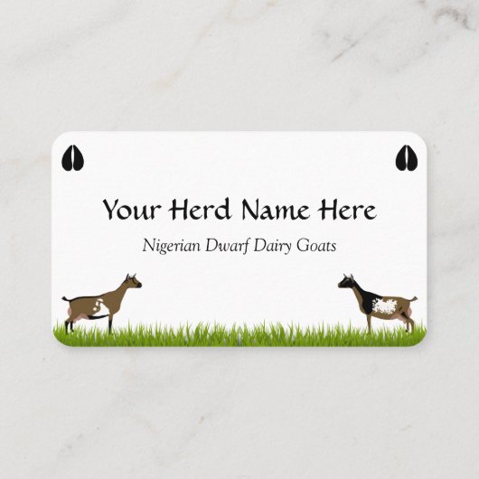 Nigerian Dwarf Dairy Goat Visitekaartje (Achterkant)