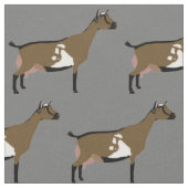 Nigerian Dwarf Dairy Goats on Grey Stof (Close Up)