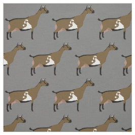 Nigerian Dwarf Dairy Goats on Grey Stof